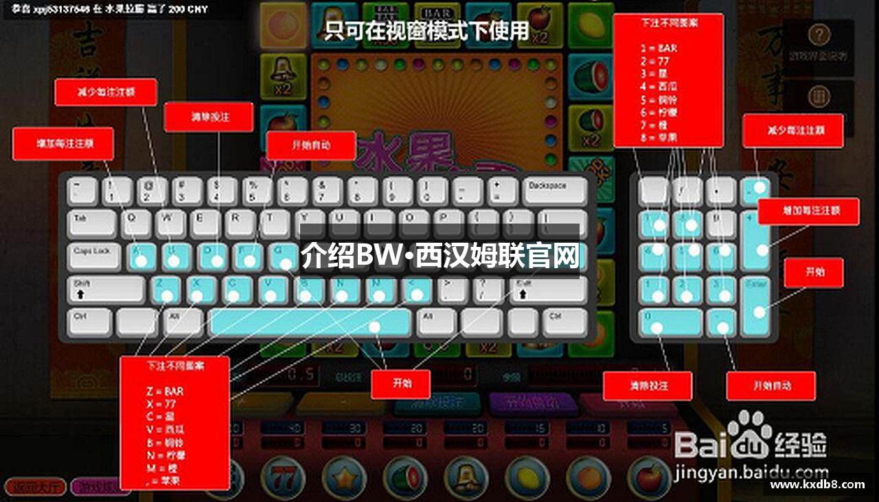 介绍BW·西汉姆联官网